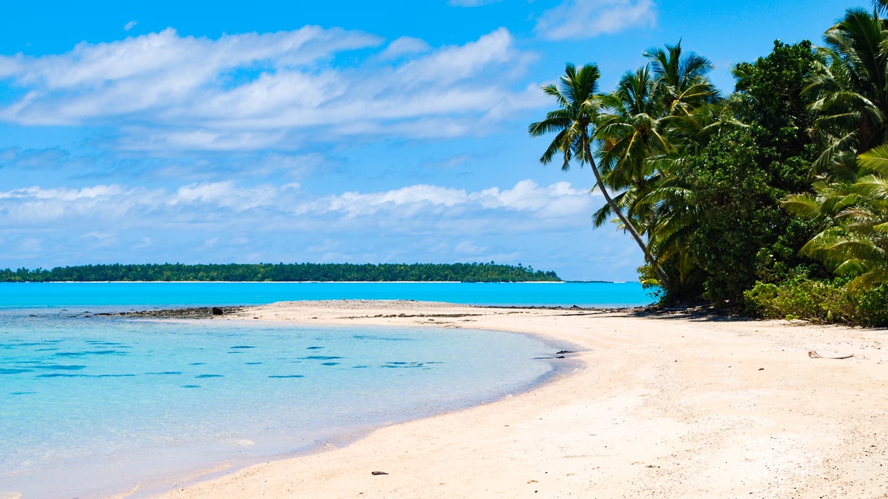 Palm trees by the lagoon on One Foot Island in the Cook Islands