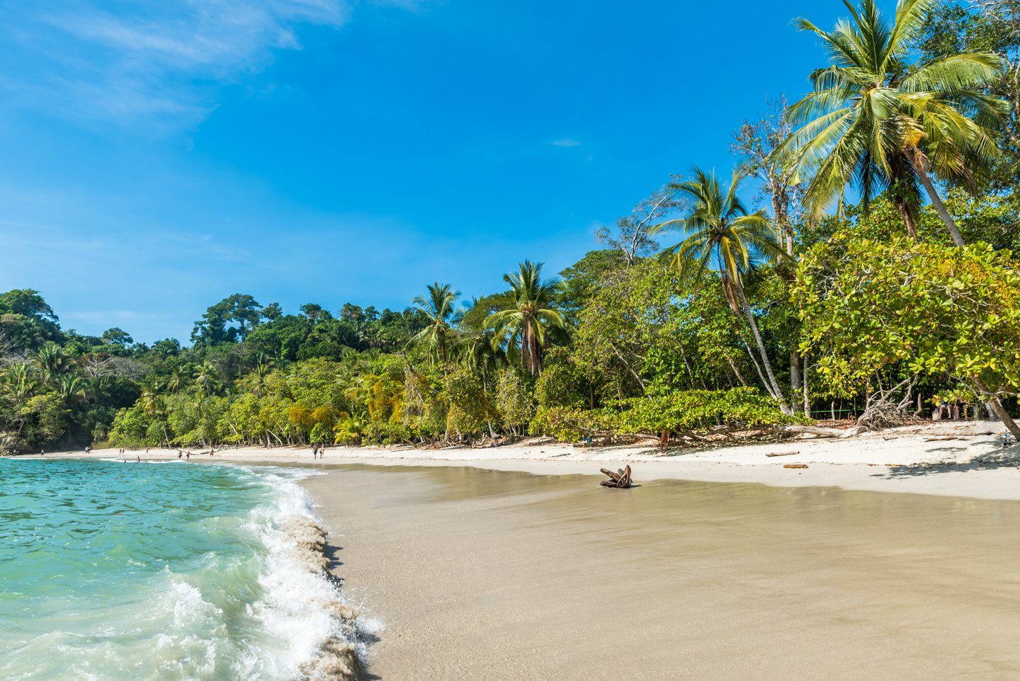 The white, sandy Espadilla Beach in Costa Rica.