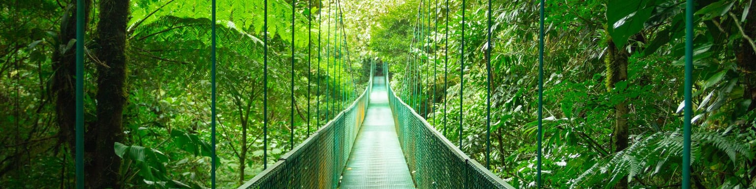 A hanging walkway through Monteverde Cloud Forest in Costa Rica