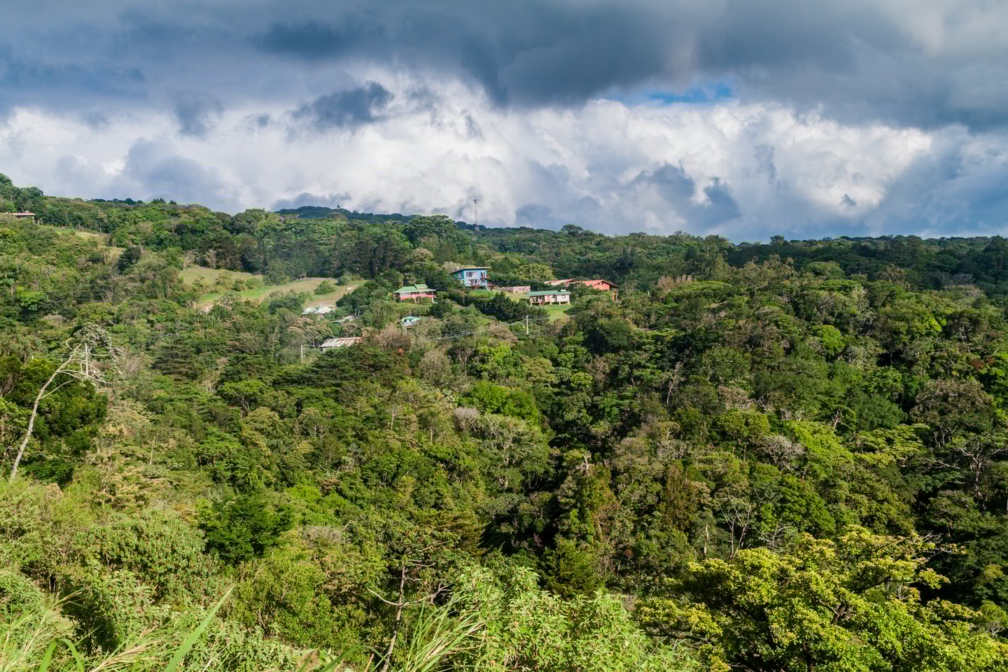 The forest around Santa Elena in Costa Rica