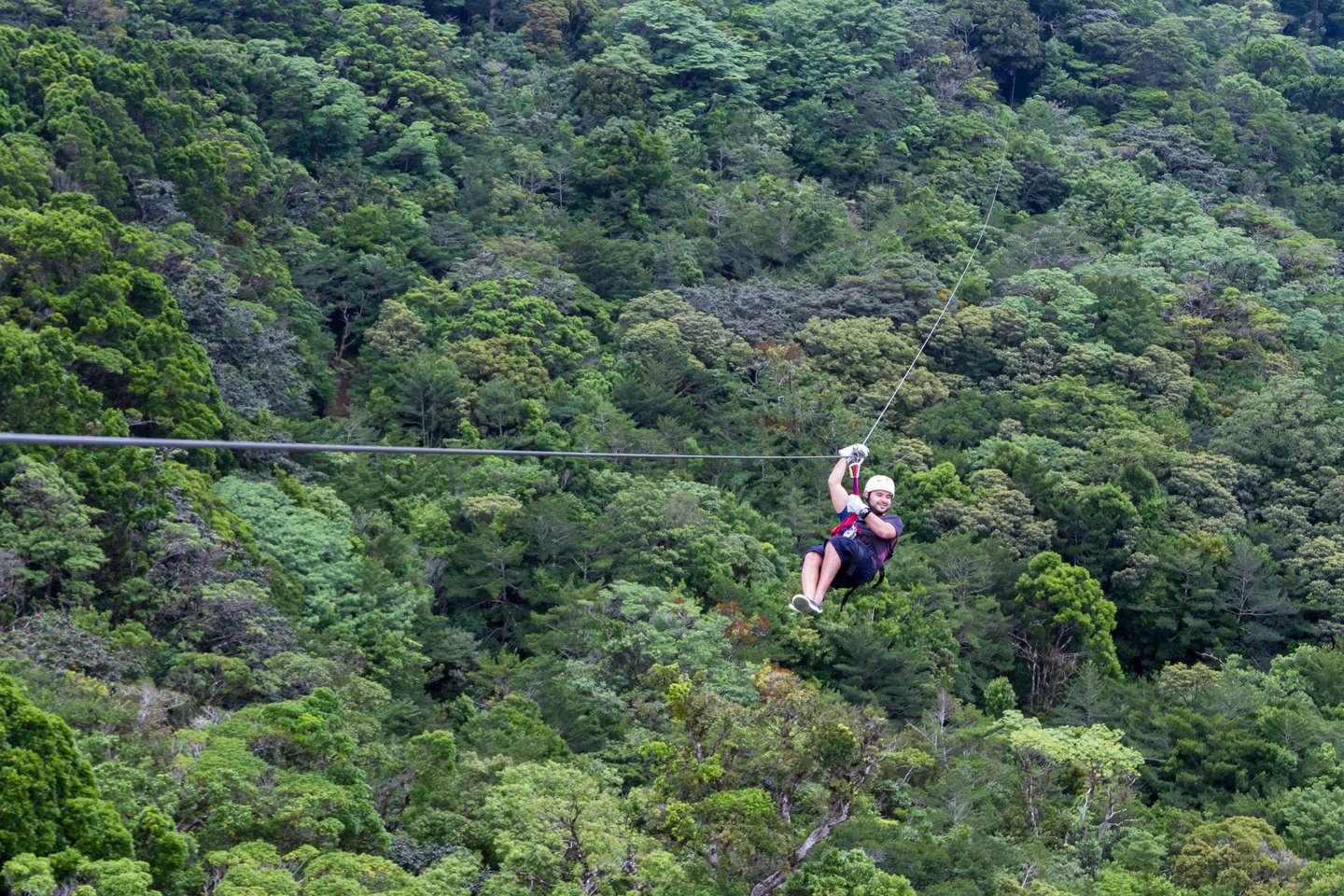 Ziplining through the trees in Monteverde Cloud Forest