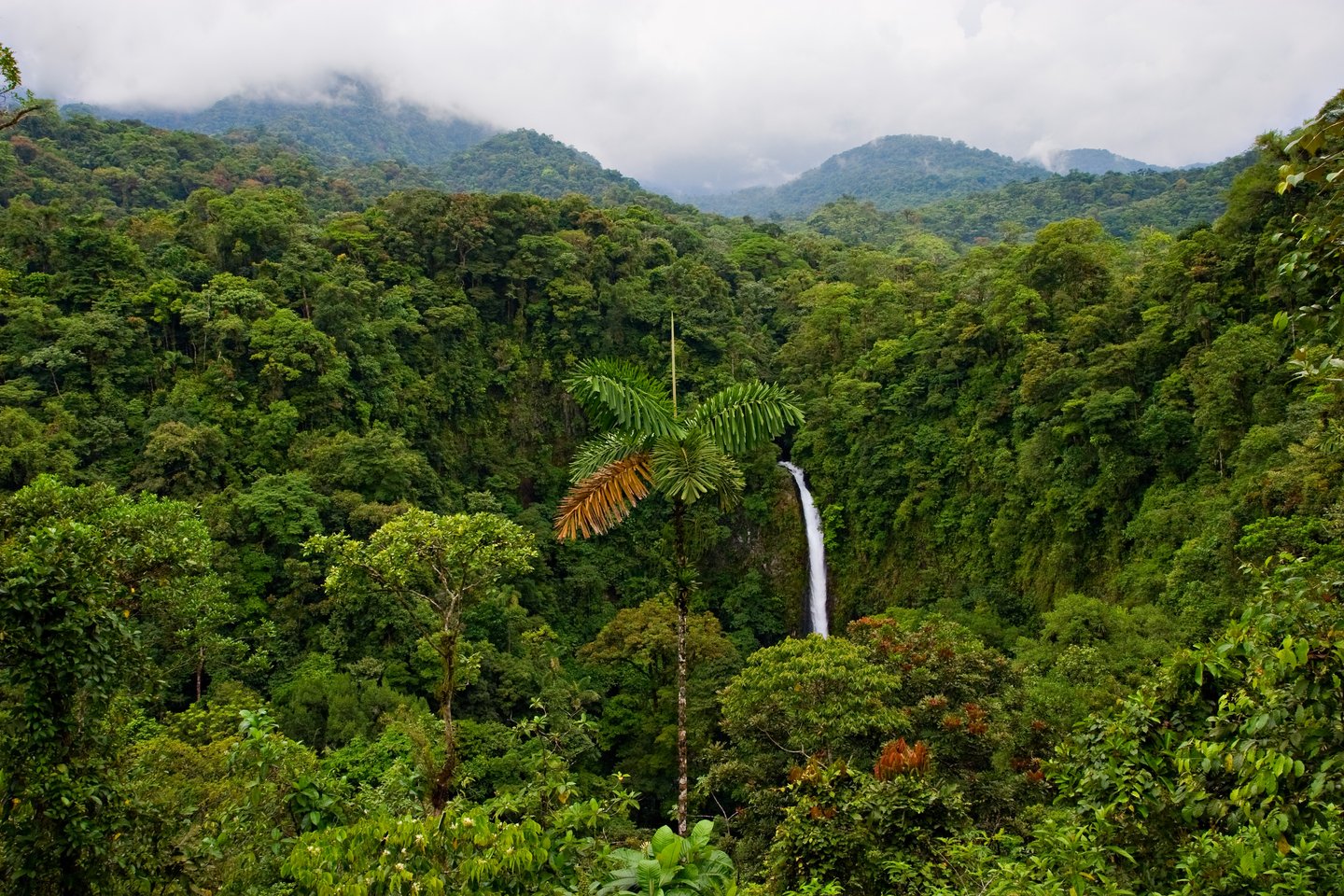 A waterfall in the middle of the ranforest in Costa Rica