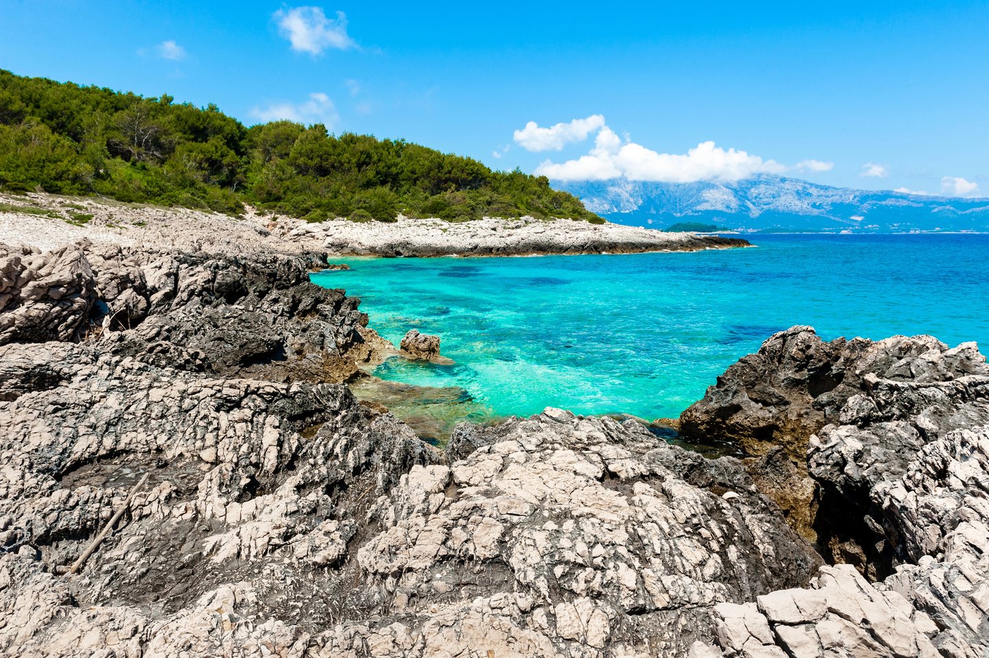 Korcula's rocky coastline with turquoise waters