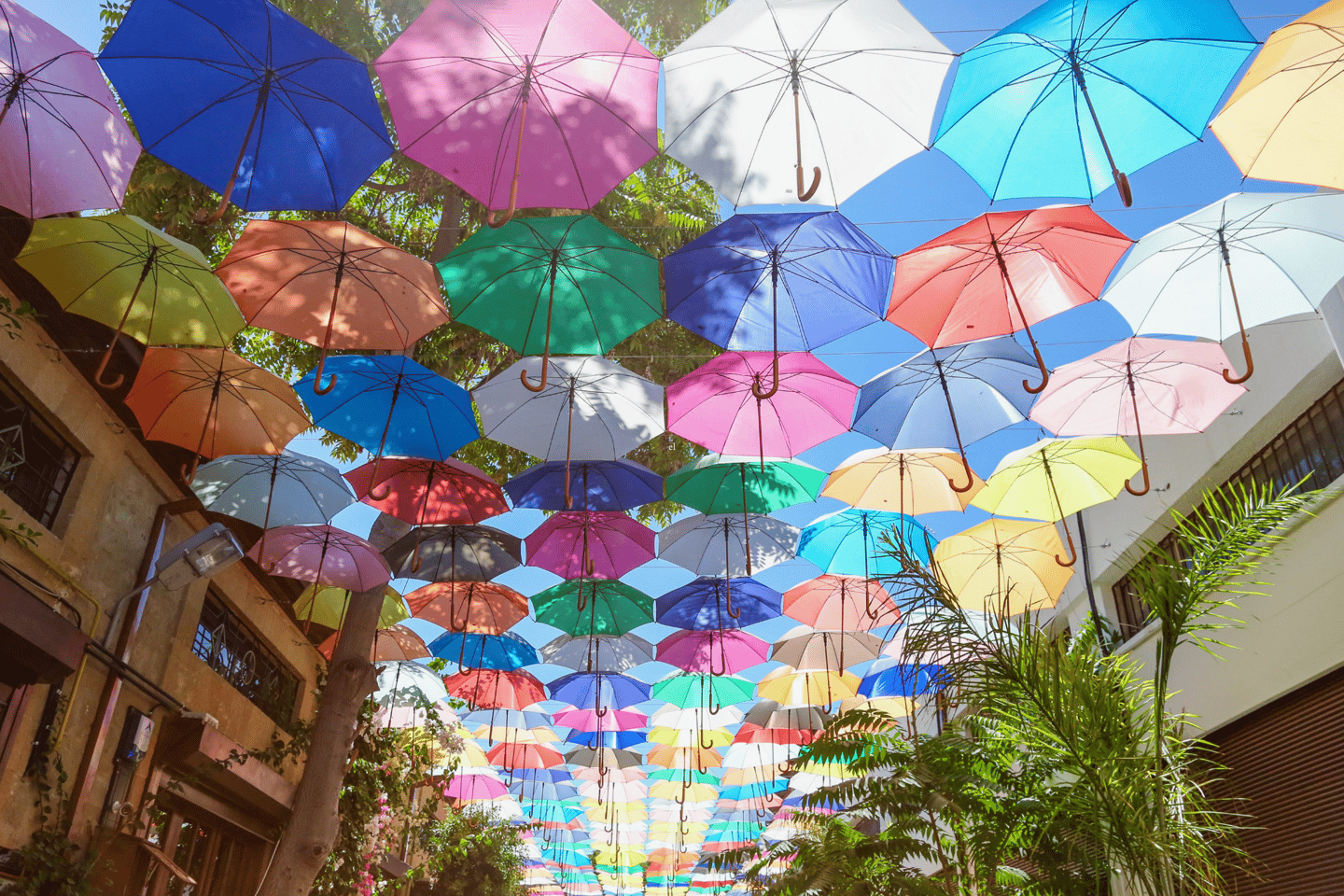 Colourful umbrellas in North Nicosia