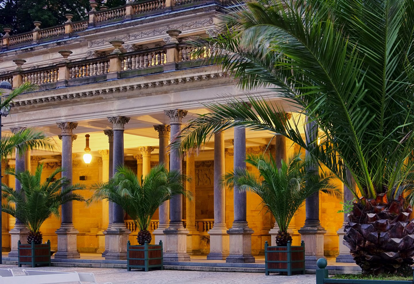 The Mill Colonnade with large palm trees in Karlovy Vary, Czechia.