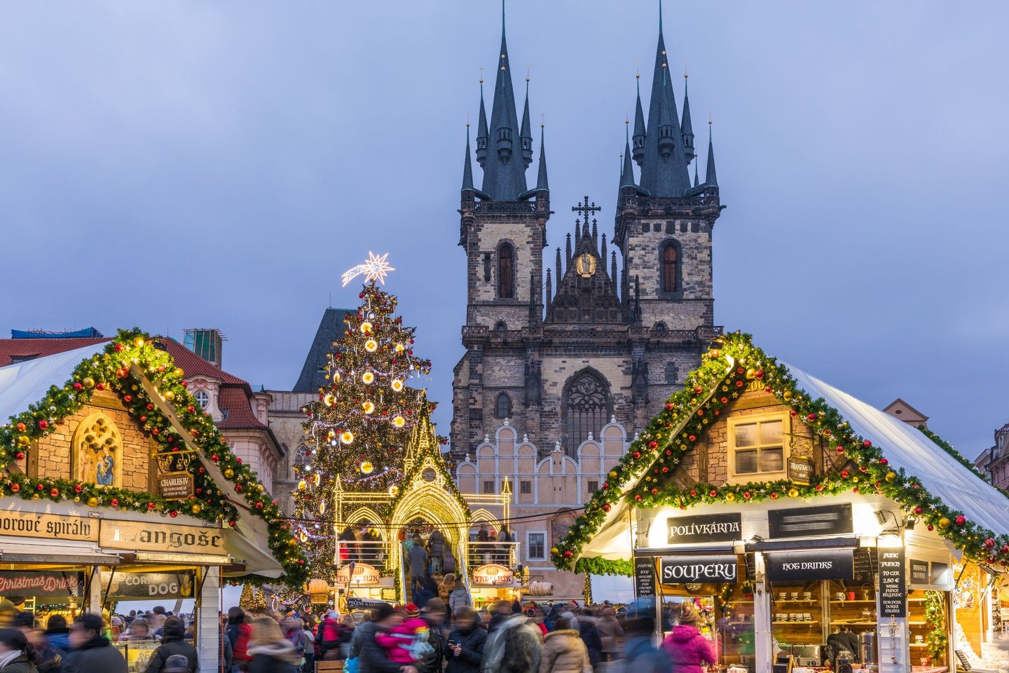 Christmas tree and markets in Prague's Old Town.