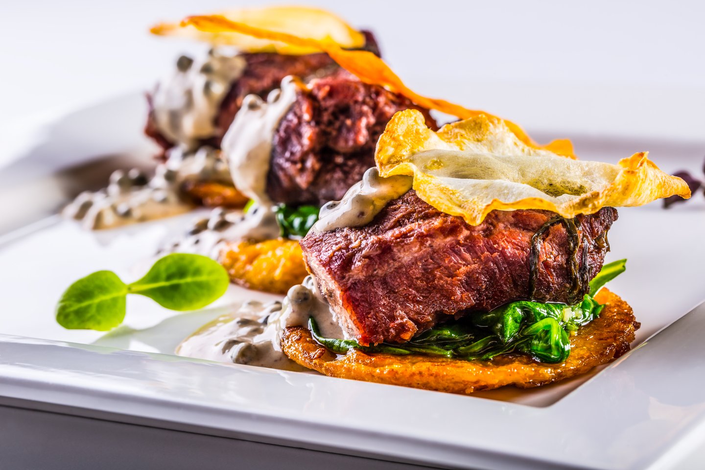 A plate of French-style pork cheeks