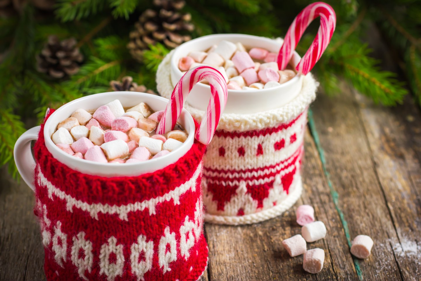 Mugs of hot chocolate covered with knitted covers