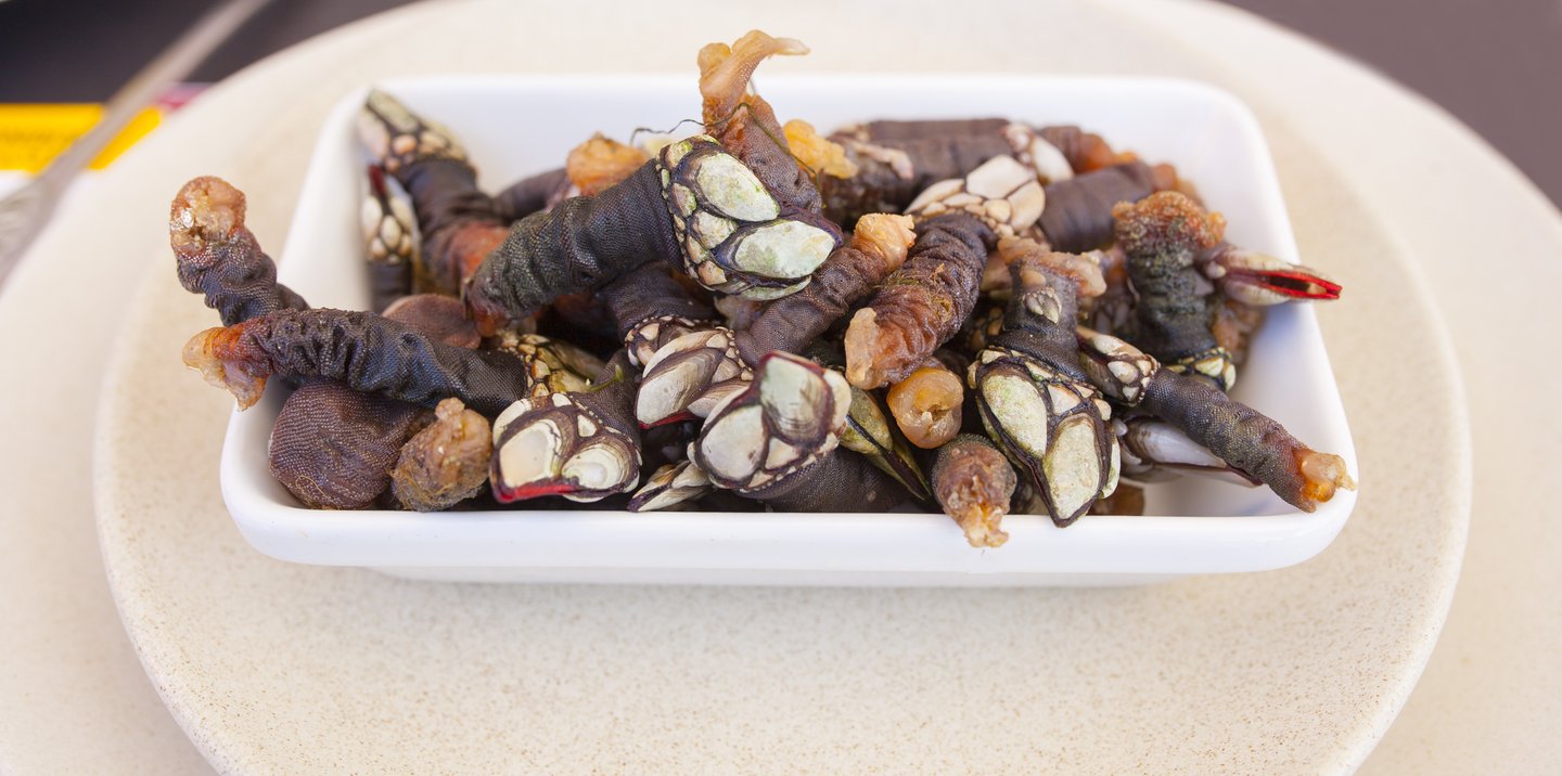 A dish of percebes or goose neck barnacles