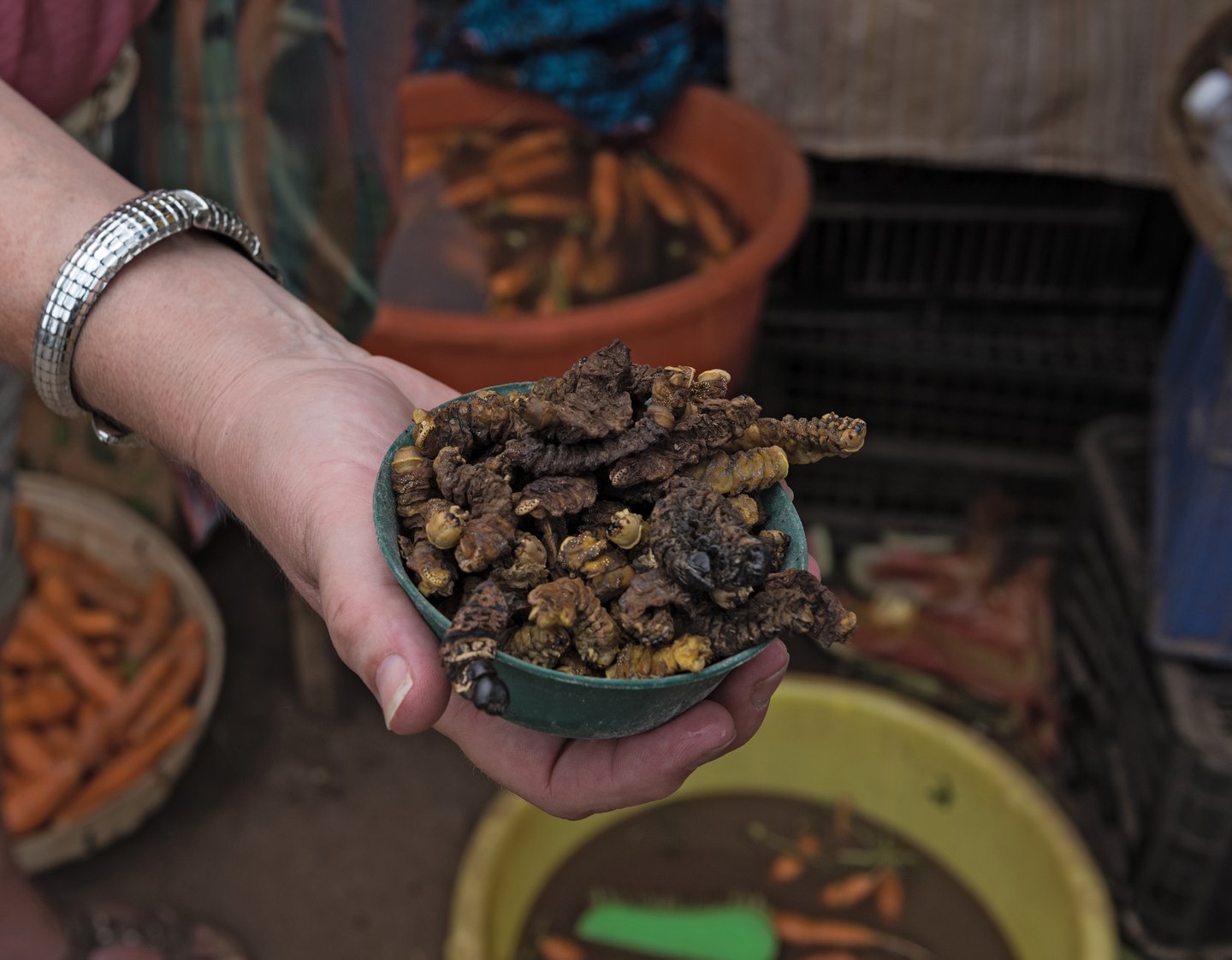 Small bowl of roasted mopane caterpillar at the market in Livingstone, Zambia