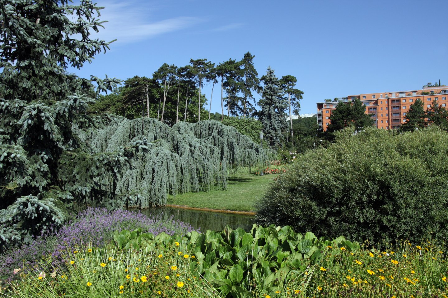Trees lining the river in Parc de la Tete dOr in Lyon, France