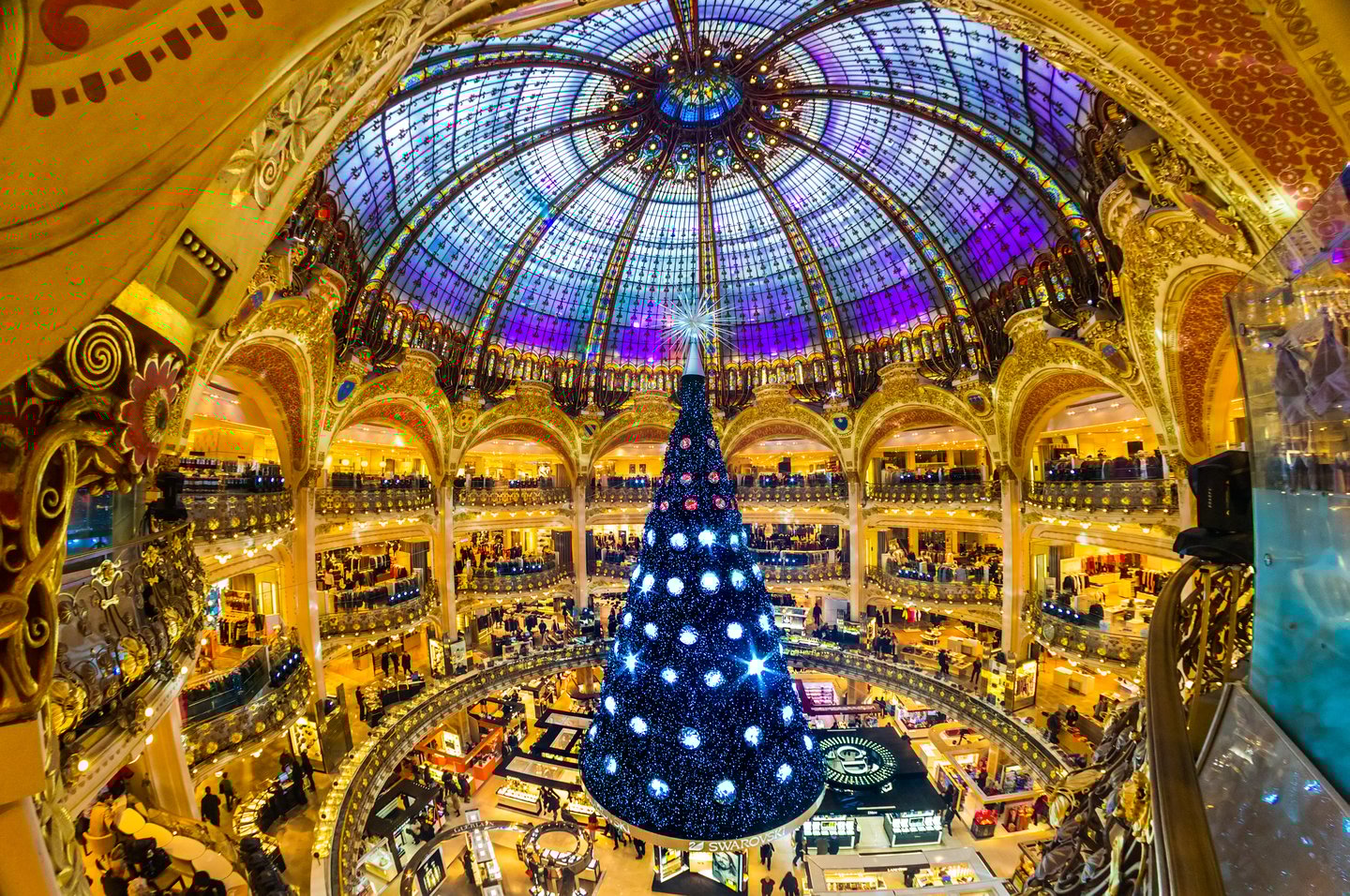 The Christmas tree and decorations at the Galeries Lafayette in Paris.