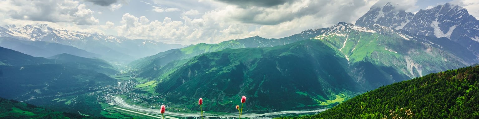 Pink flowers in the mountains near Mestia in Svaneti, Georgia.