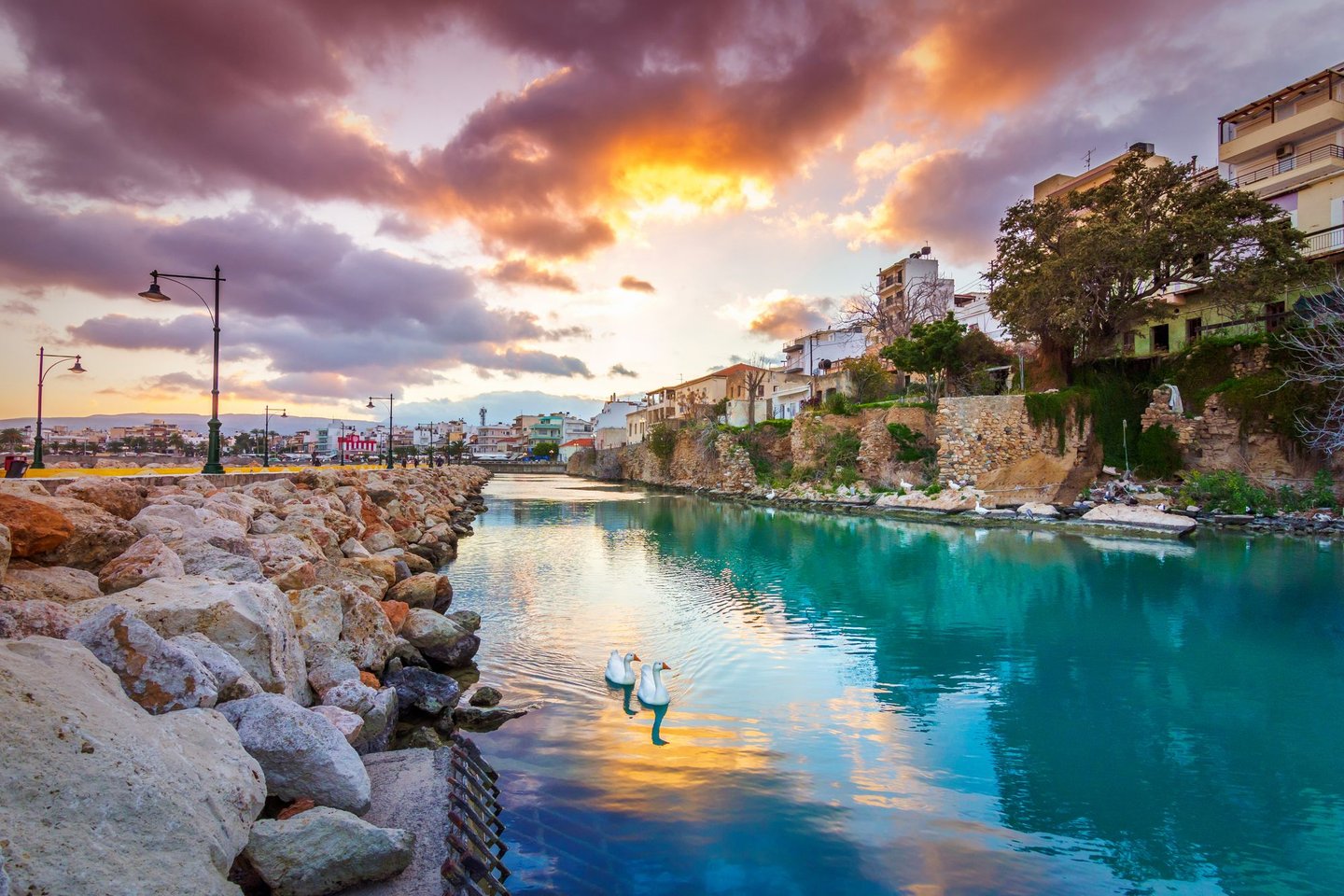 The pretty port of Sitia, Crete with swans swimming in the water