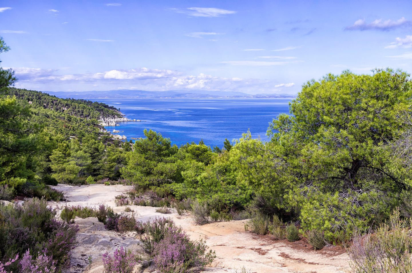 View to the sea from top of a hill, in Sithonia, Greece