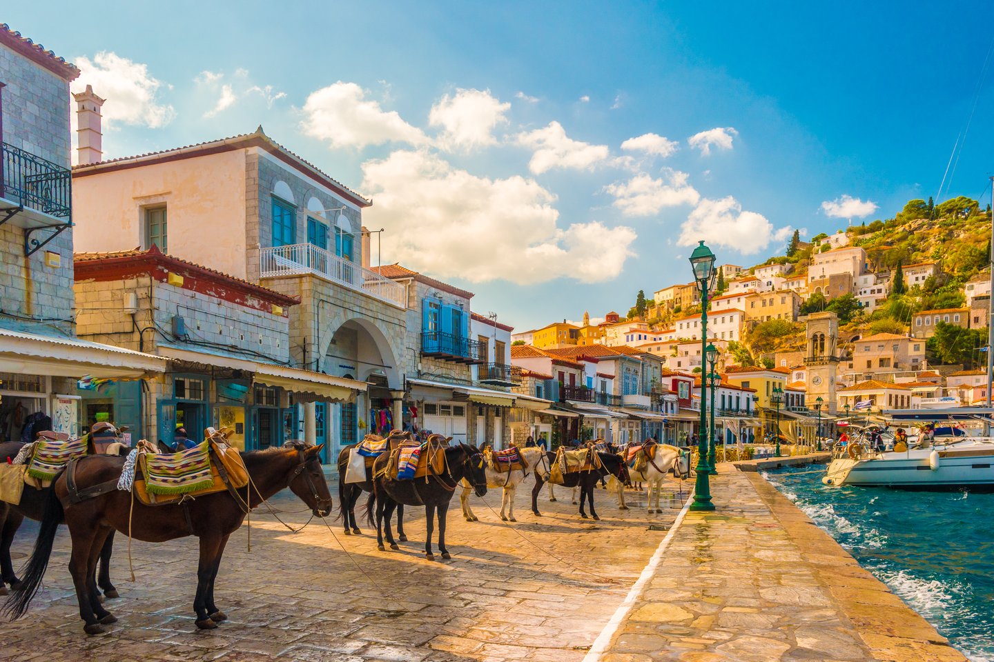 Donkeys waiting at the port in Hydra