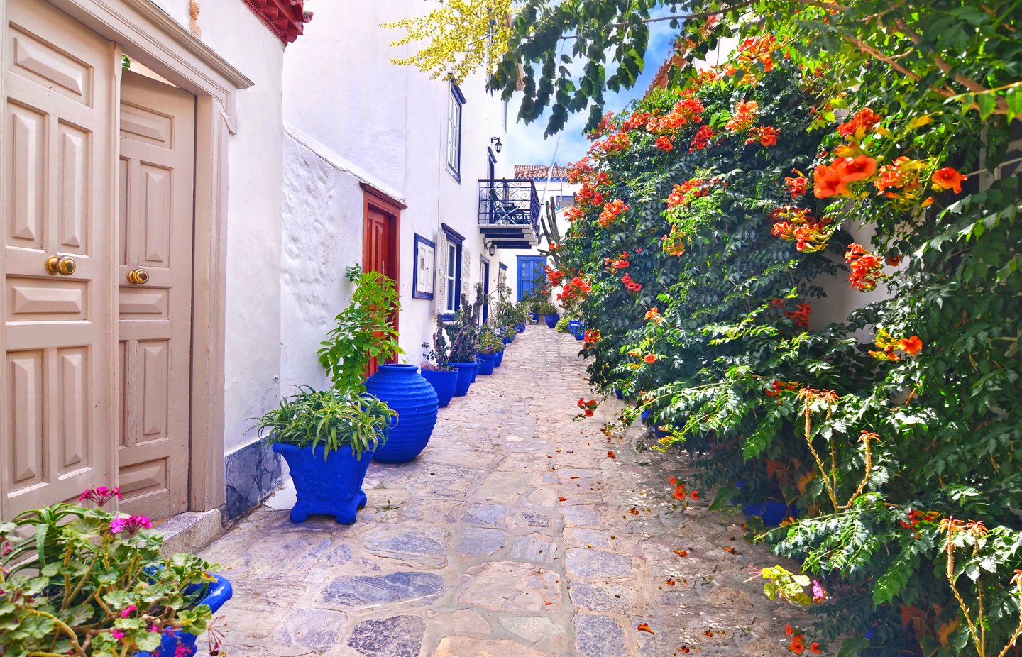 A street lined with plants in blue pots in Hydra, Greece
