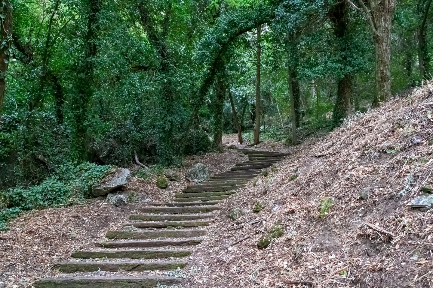 Old stone stairs going through the forest leading to hidden church near village Kastraki.