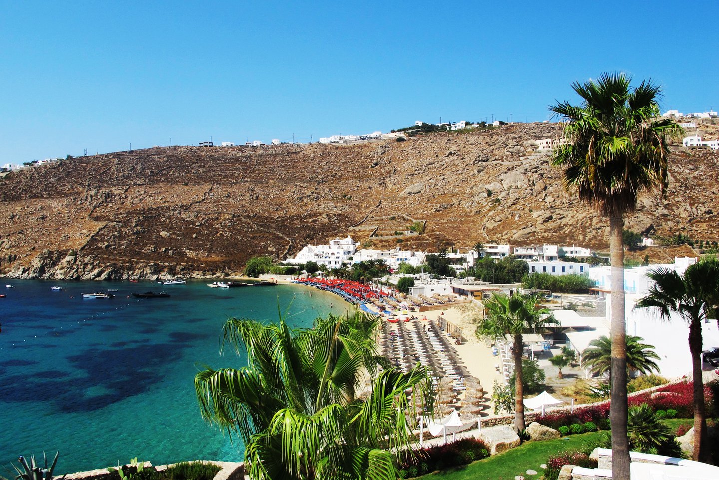 Looking down at the sun umbrellas spread out on Psarou Beach, Mykonos