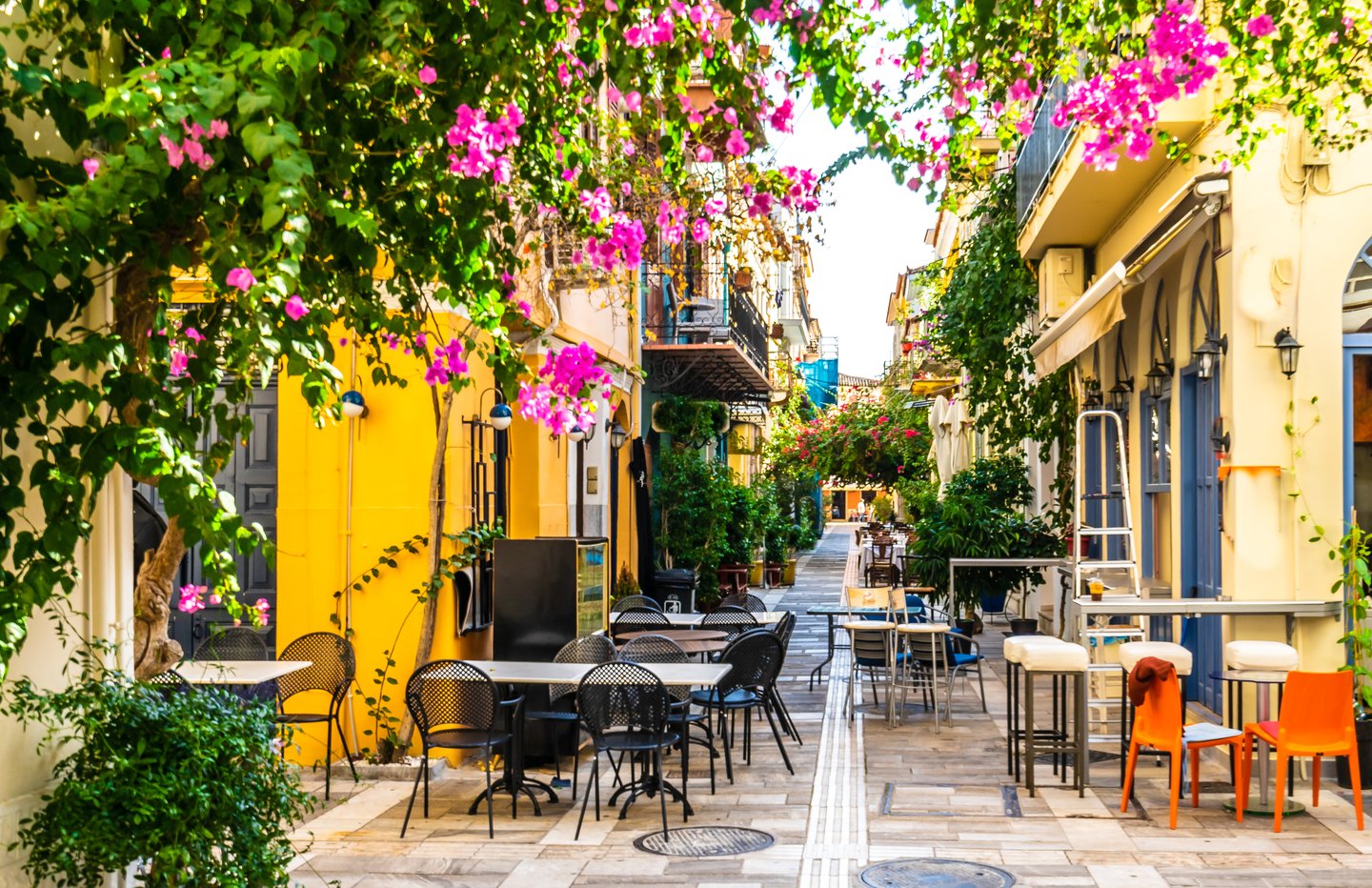 Pink blossoms frame an empty street in Nafplio, Greece