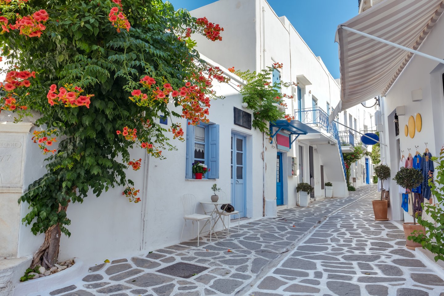 A street with white buildings and colourful blossoms in Parikia, Paros