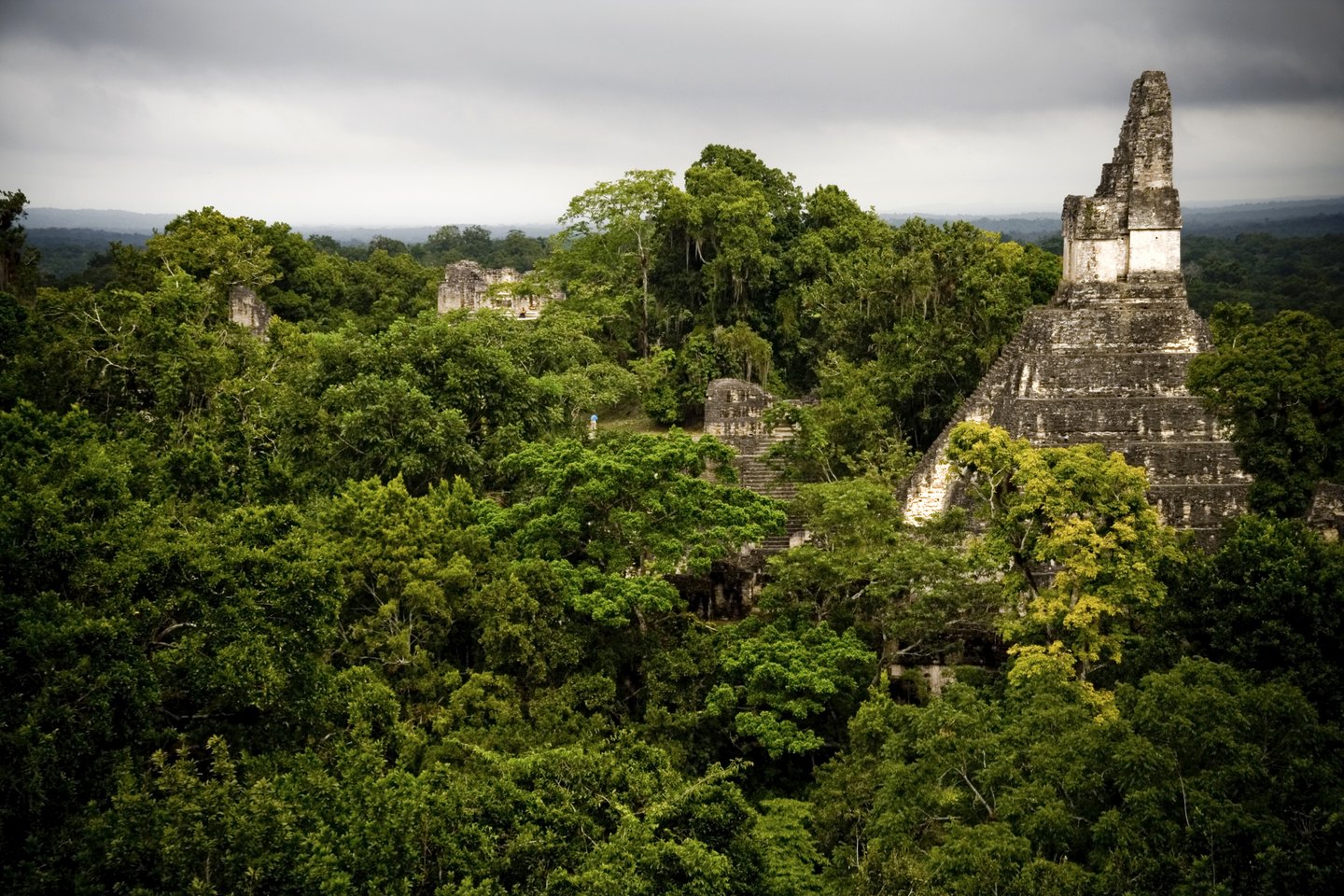 Maya pyramid in Tikal rising above the forest on a cloudy day