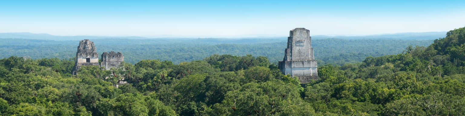 Ancient ruins of the Tikal pyramid peeking out above the trees in Guatemala