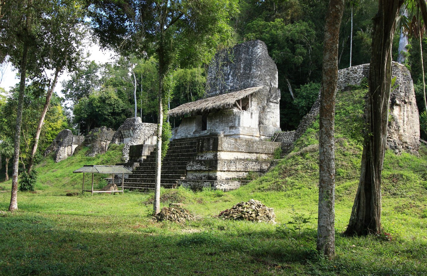 Remains of ruined Mayan temple surrounded by the jungle in Tikal, Guatemala.