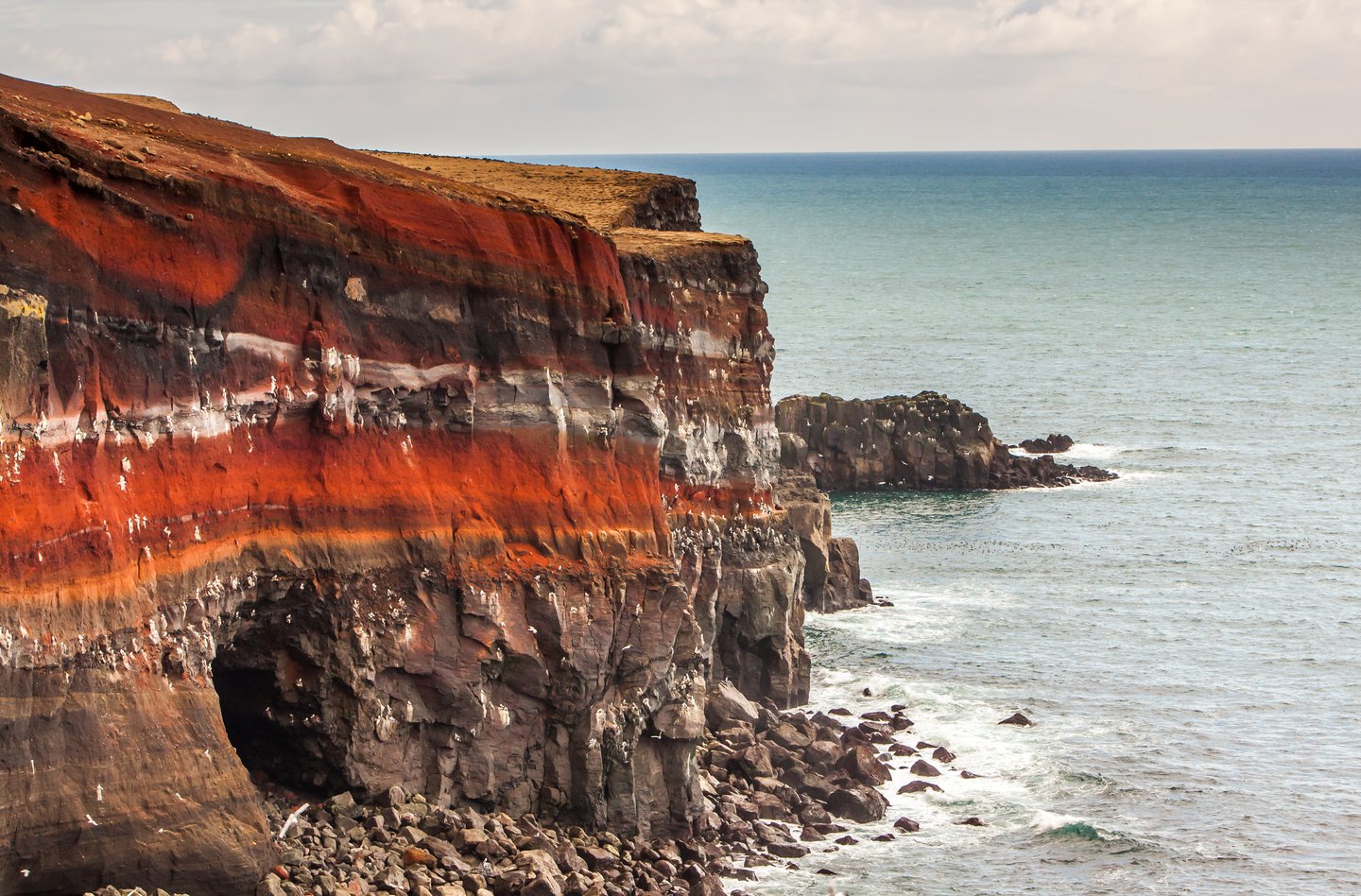 The Krysuvíkurbjarg bird cliffs in Reykjanes Peninsula, Iceland