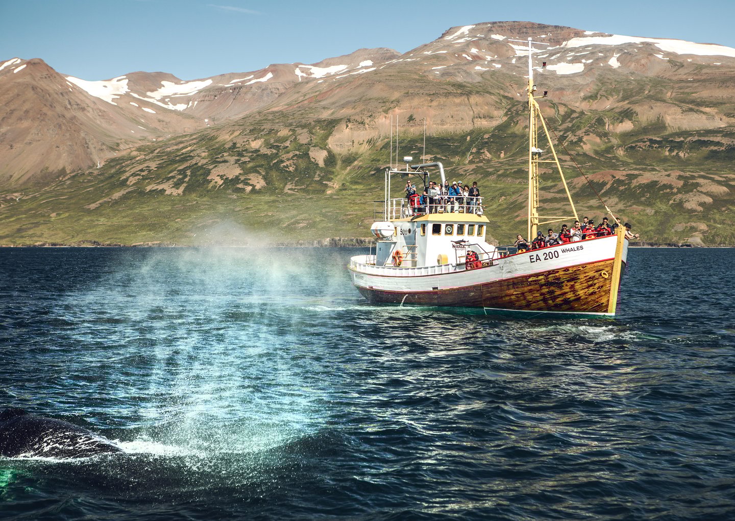 A whale watching boat in Iceland