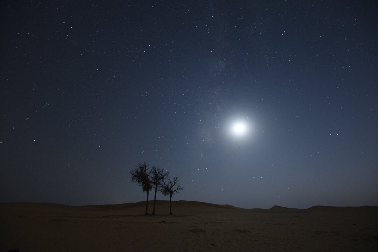 Dwarka desert at night