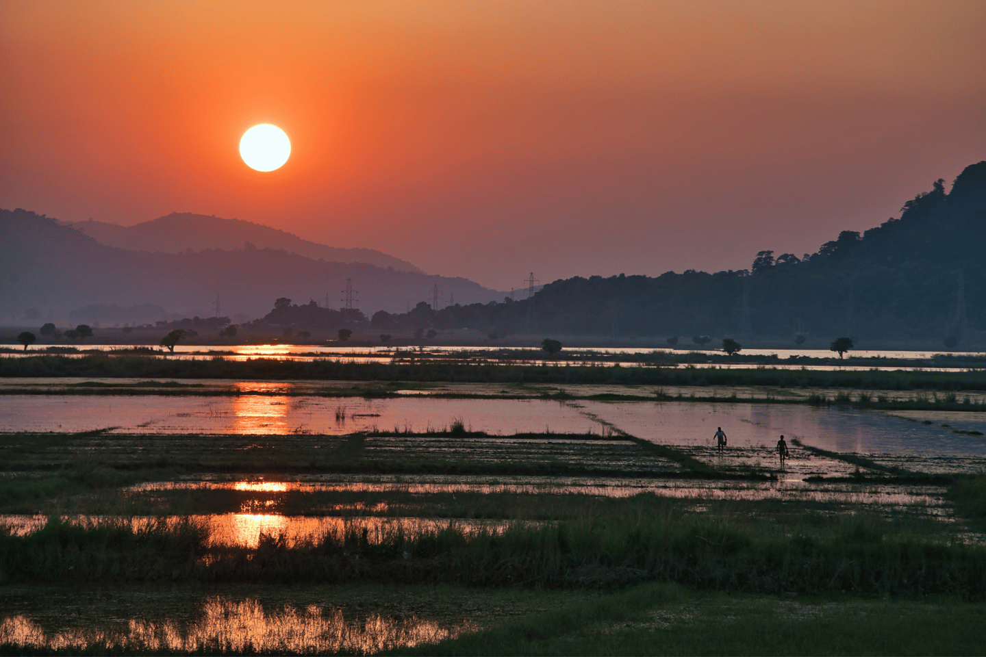 Sunset at Pobitora National Park in Guwahati, India