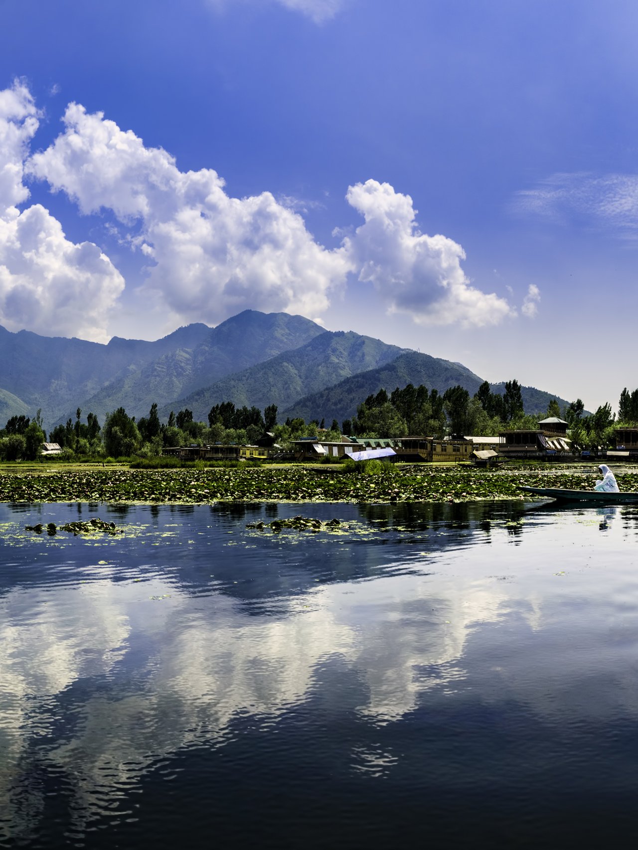 Mountain reflections in Dal Lake