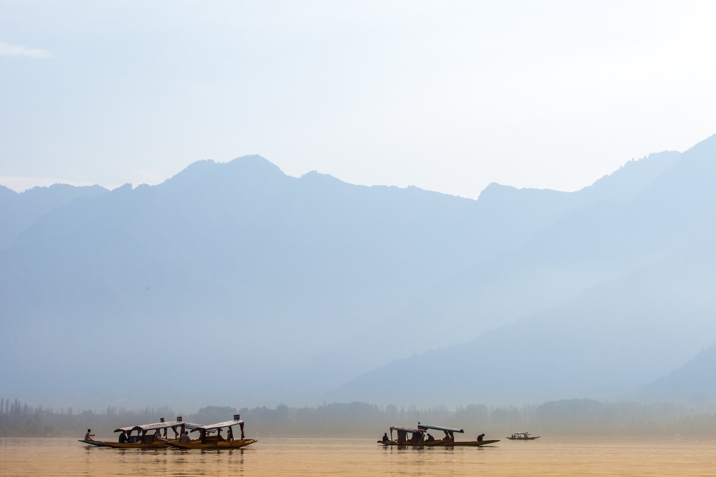 A calm morning on Lake Dal