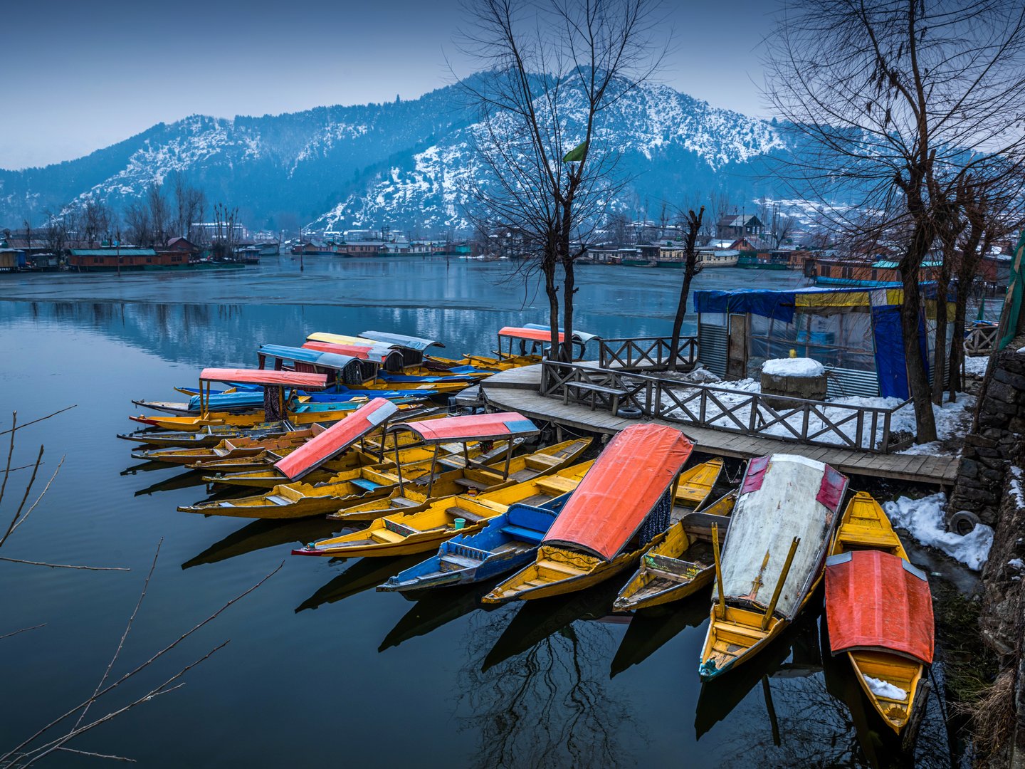 Small boats called shikara docked on Lake Dal