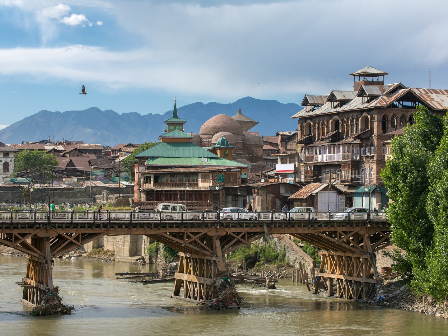 The Old Town of Srinagar visible from the river