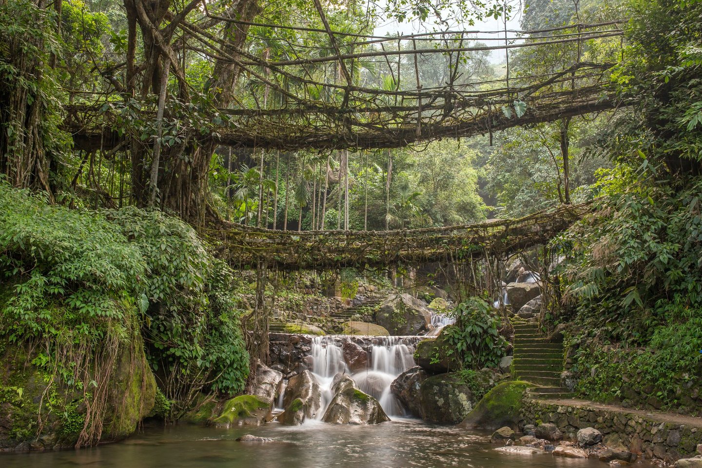 A double-decker living root bridge above a small waterfall