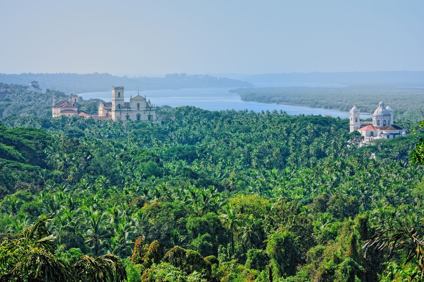 Churches in Old Goa visible through the trees