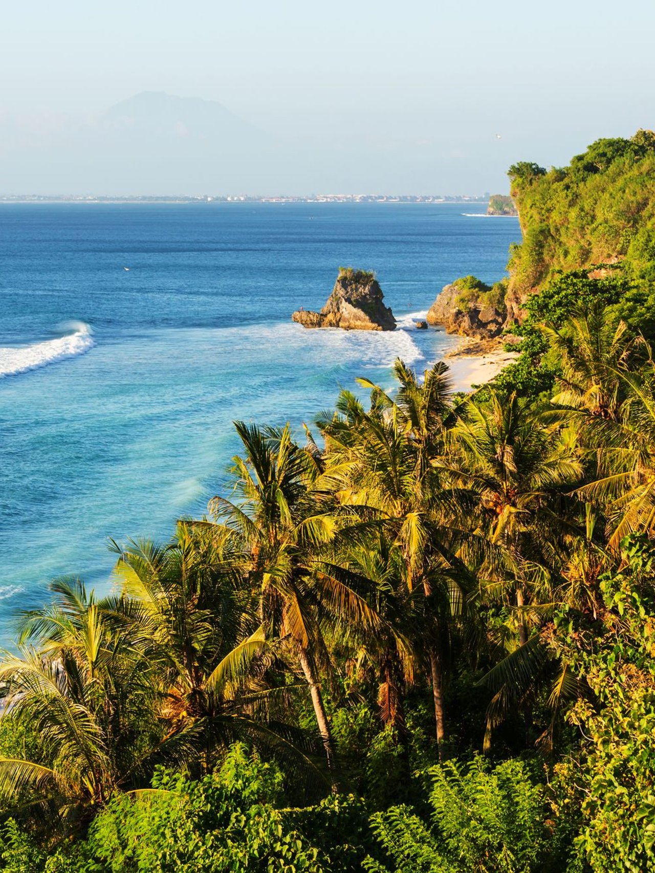 Palm trees overlooking the beach in Bali, Indonesia.