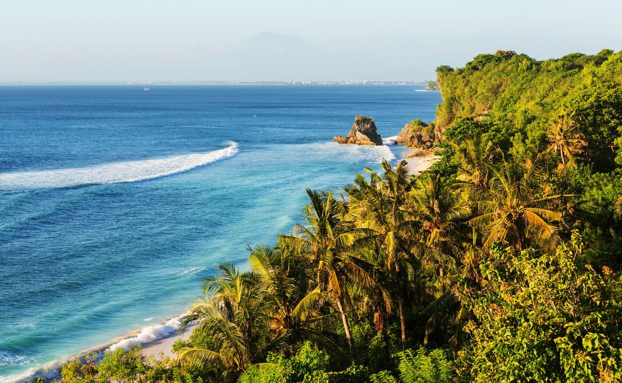 Palm trees overlooking the beach in Bali, Indonesia.