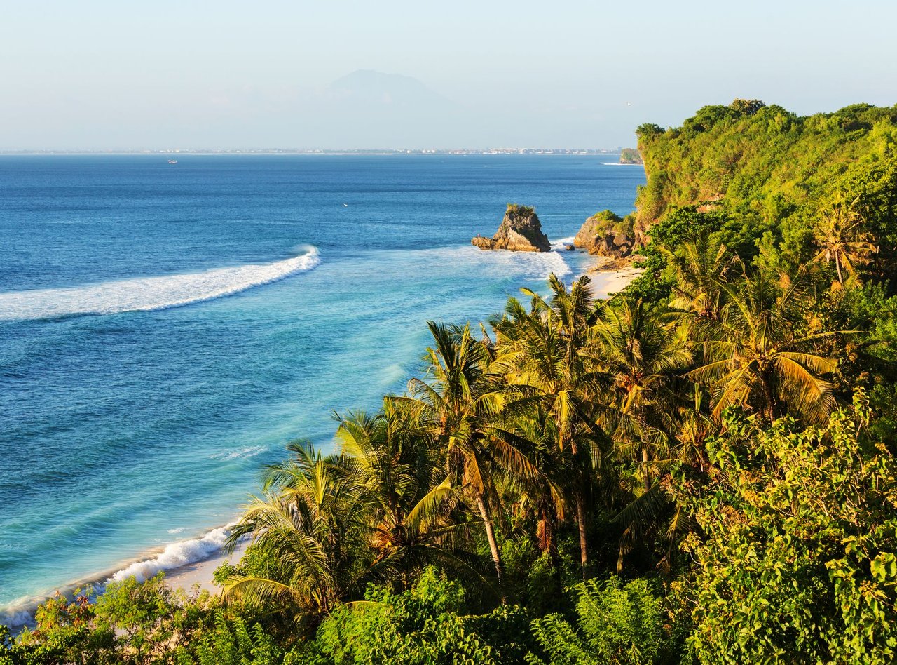 Palm trees overlooking the beach in Bali, Indonesia.