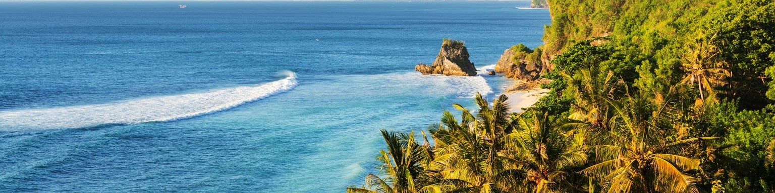 Palm trees overlooking the beach in Bali, Indonesia.