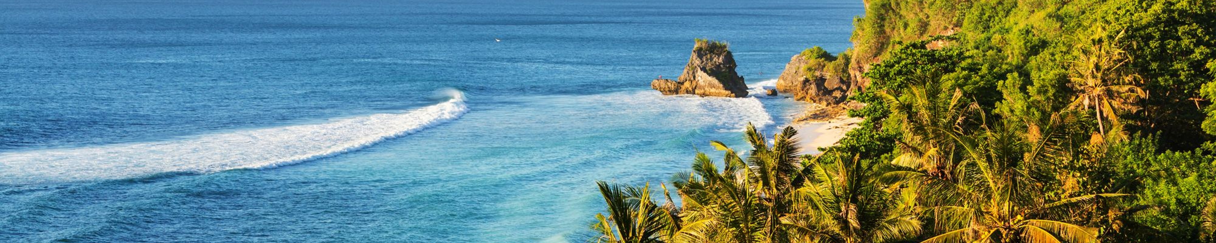 Palm trees overlooking the beach in Bali, Indonesia.