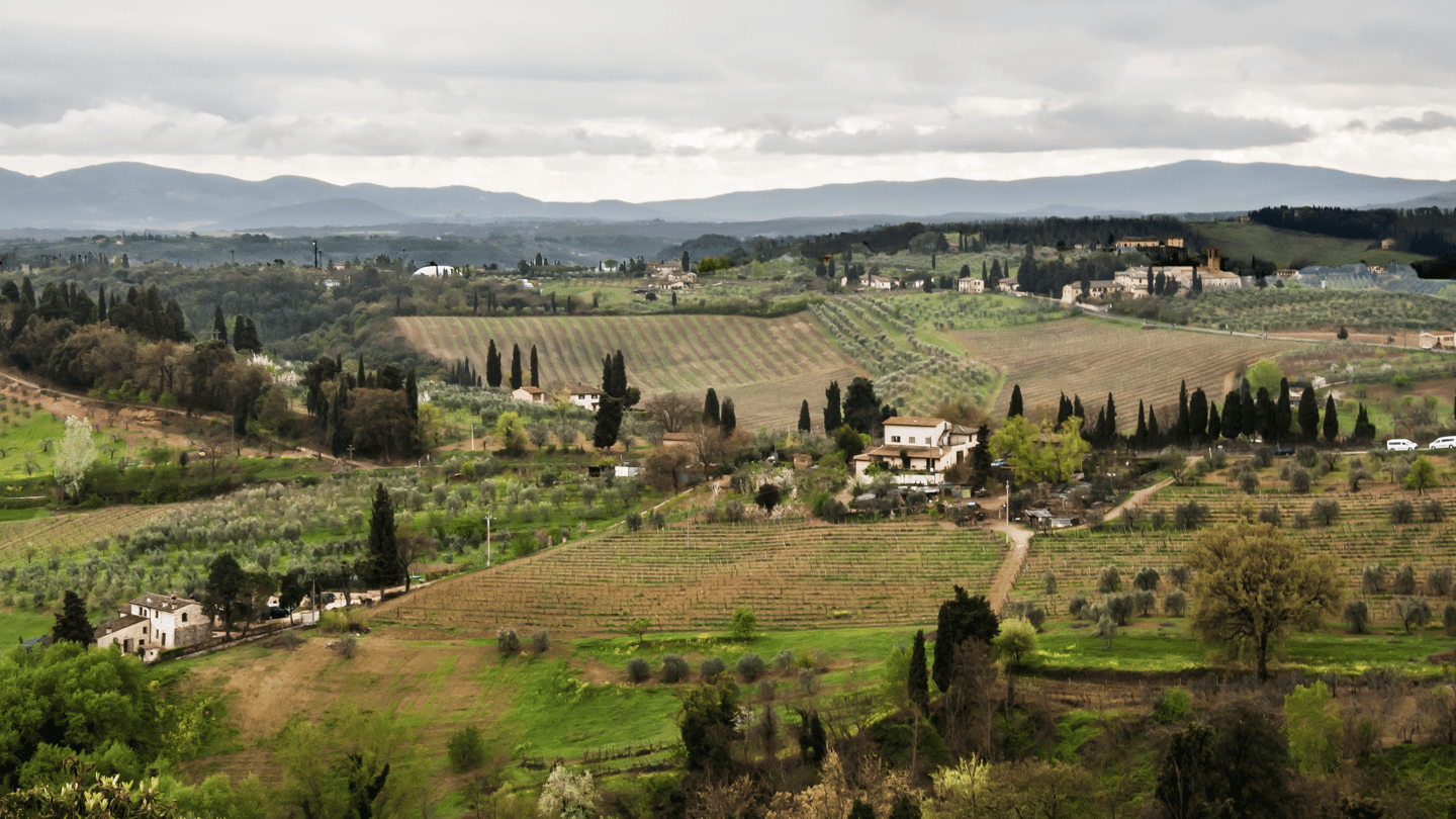 Vineyards and countryside in Chianti