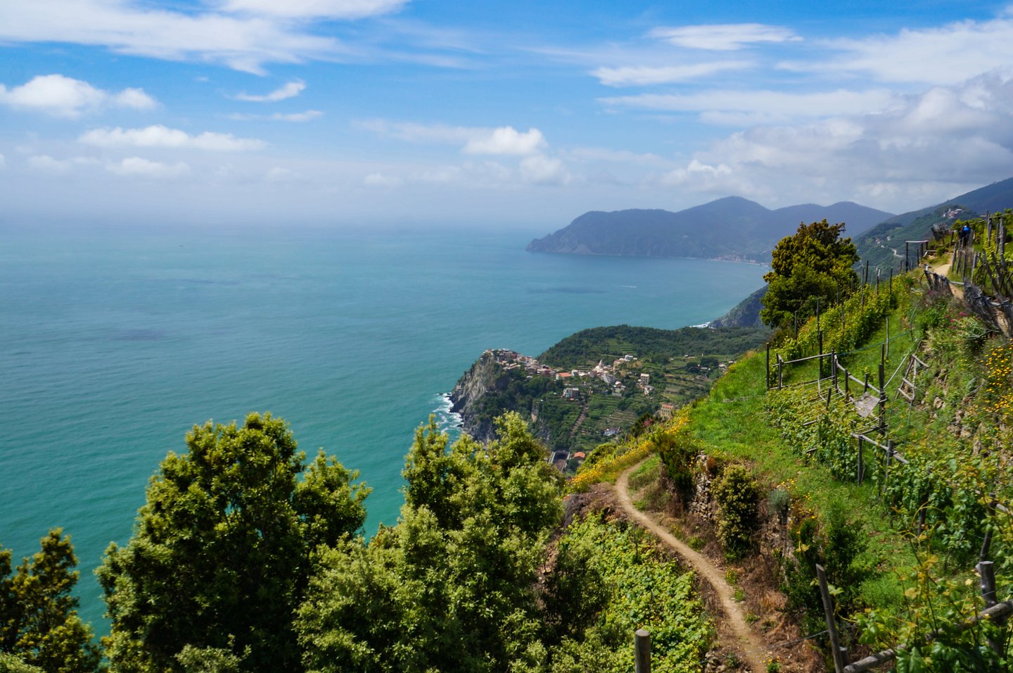 A path through the vineyards in the Cinque Terre National Park
