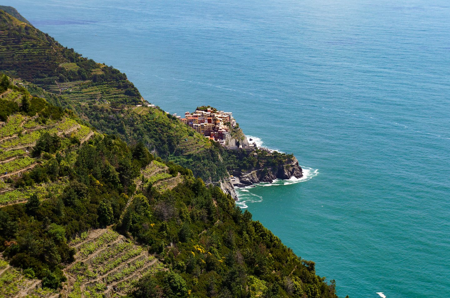 Looking down at the village of Manarola in the Cinque Terre
