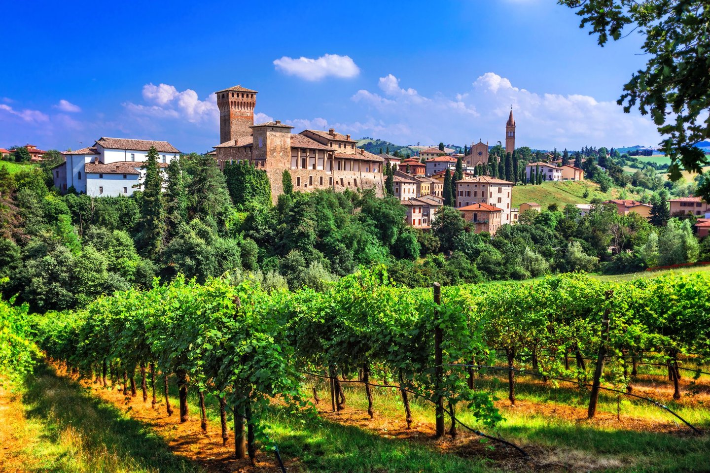 Vineyards in Emilia Romagna with the medieval village of Levizzano in the distance