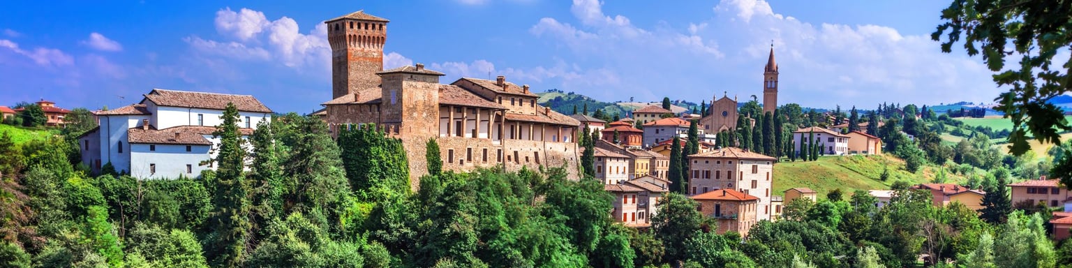Vineyards in Emilia Romagna with the medieval village of Levizzano in the distance