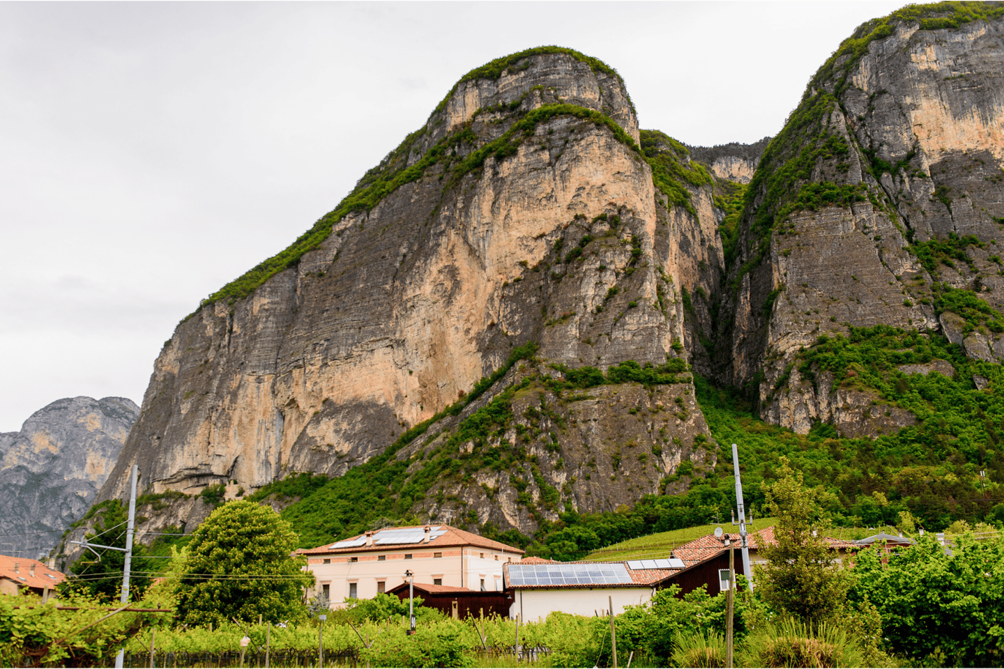 Mezzocorona houses with the Dolomites in the background