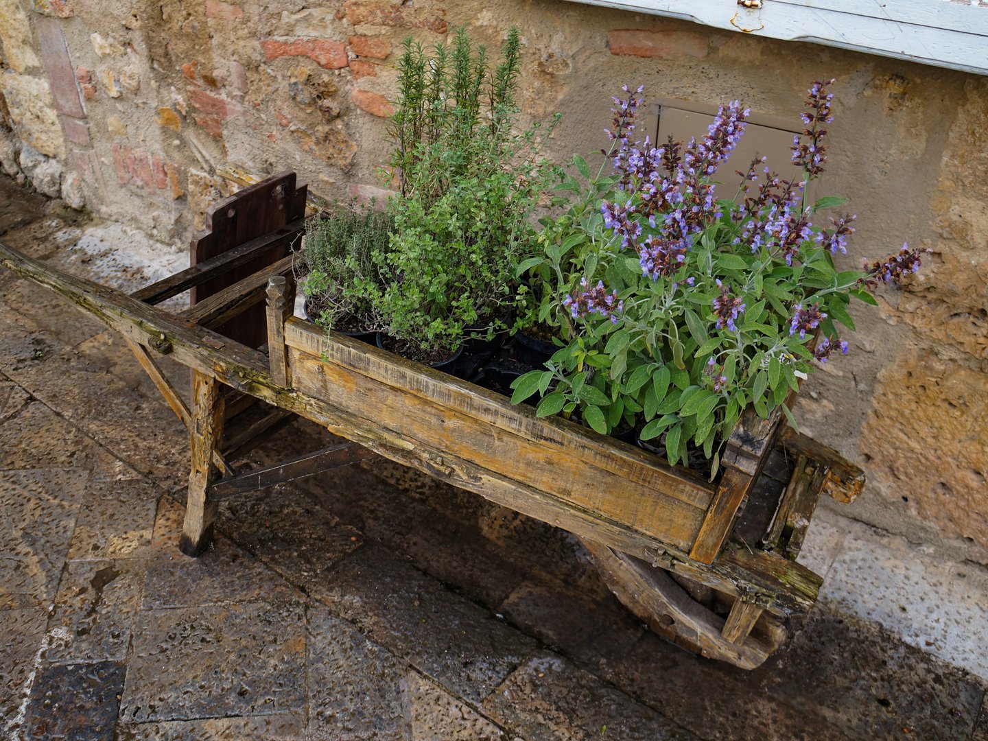 A barrow of flowers in Monteriggioni